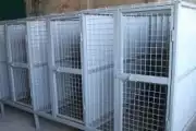 Первый на Камчатке муниципальный приют для безнадзорных животных откроется в запланированные сроки